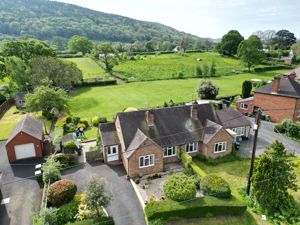 Photo 1- click for photo gallery